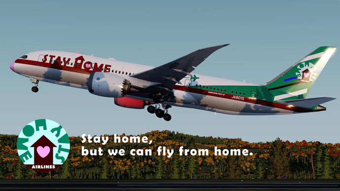 Stay Home Airlines Flight Image