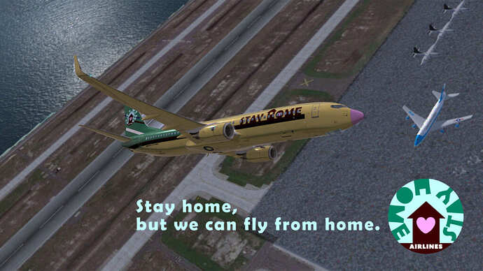 Stay Home Airlines Flight Image